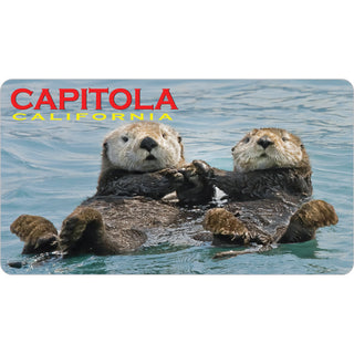 Capitola  California   Capitola  California Otter Photo Sticker