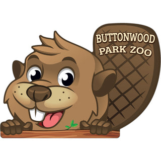 Buttonwood Park Zoo Lookover Beaver Sticker