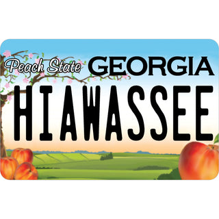 Georgia License Plate Sticker