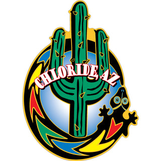 Chloride  AZ   Cactus Arrow Graphic Sticker