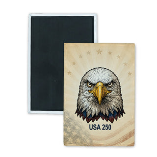Eagle Stare Rectangle Badge Magnet